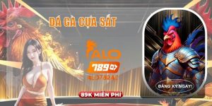 Đá gà cựa sắt